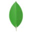 MongoDB icon